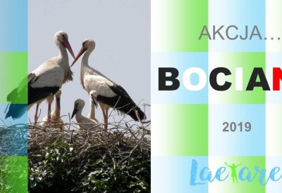 Fundacja-Laetare_akcja-bocian00