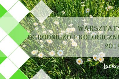 Fundacja-Laetare_warsztaty-ekologiczno-ogrodnicze